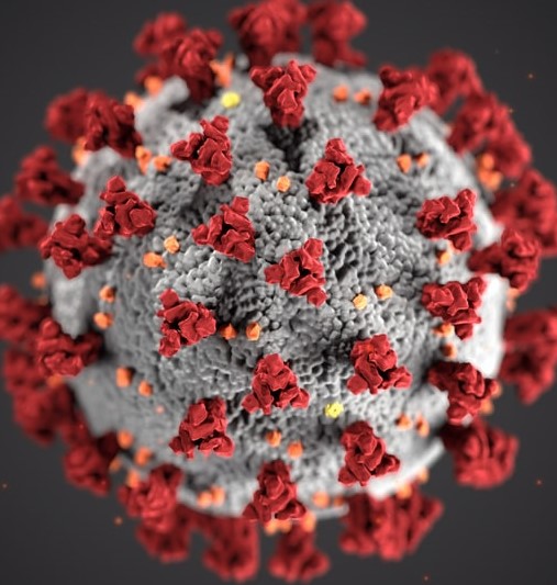 थप २६४ जनामा कोरोना सङ्क्रमण